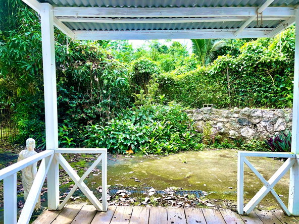 Fifteenth image of Lot 1-childermas Lethe in Anchovy, St. James, Jamaica - property is For Sale