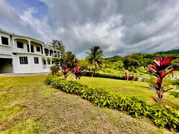 Seventeenth image of Lot 1-childermas Lethe in Anchovy, St. James, Jamaica - property is For Sale
