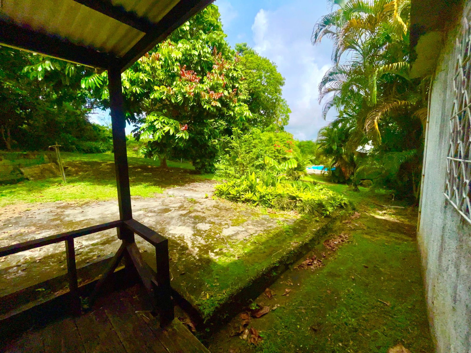 Twentieth image of Lot 1-childermas Lethe in Anchovy, St. James, Jamaica - property is For Sale