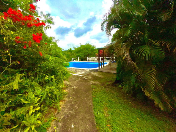 Twenty-First image of Lot 1-childermas Lethe in Anchovy, St. James, Jamaica - property is For Sale