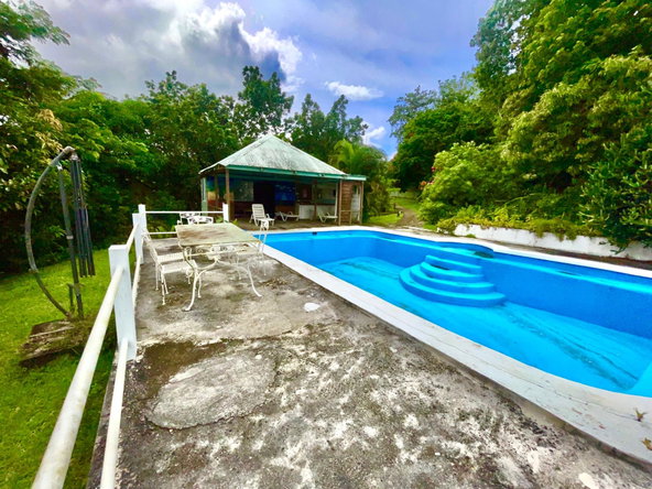 Twenty-Second image of Lot 1-childermas Lethe in Anchovy, St. James, Jamaica - property is For Sale