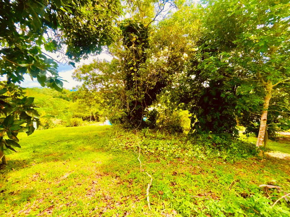 Twenty-Fifth image of Lot 1-childermas Lethe in Anchovy, St. James, Jamaica - property is For Sale