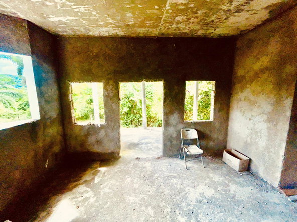 Twenty-Seventh image of Lot 1-childermas Lethe in Anchovy, St. James, Jamaica - property is For Sale