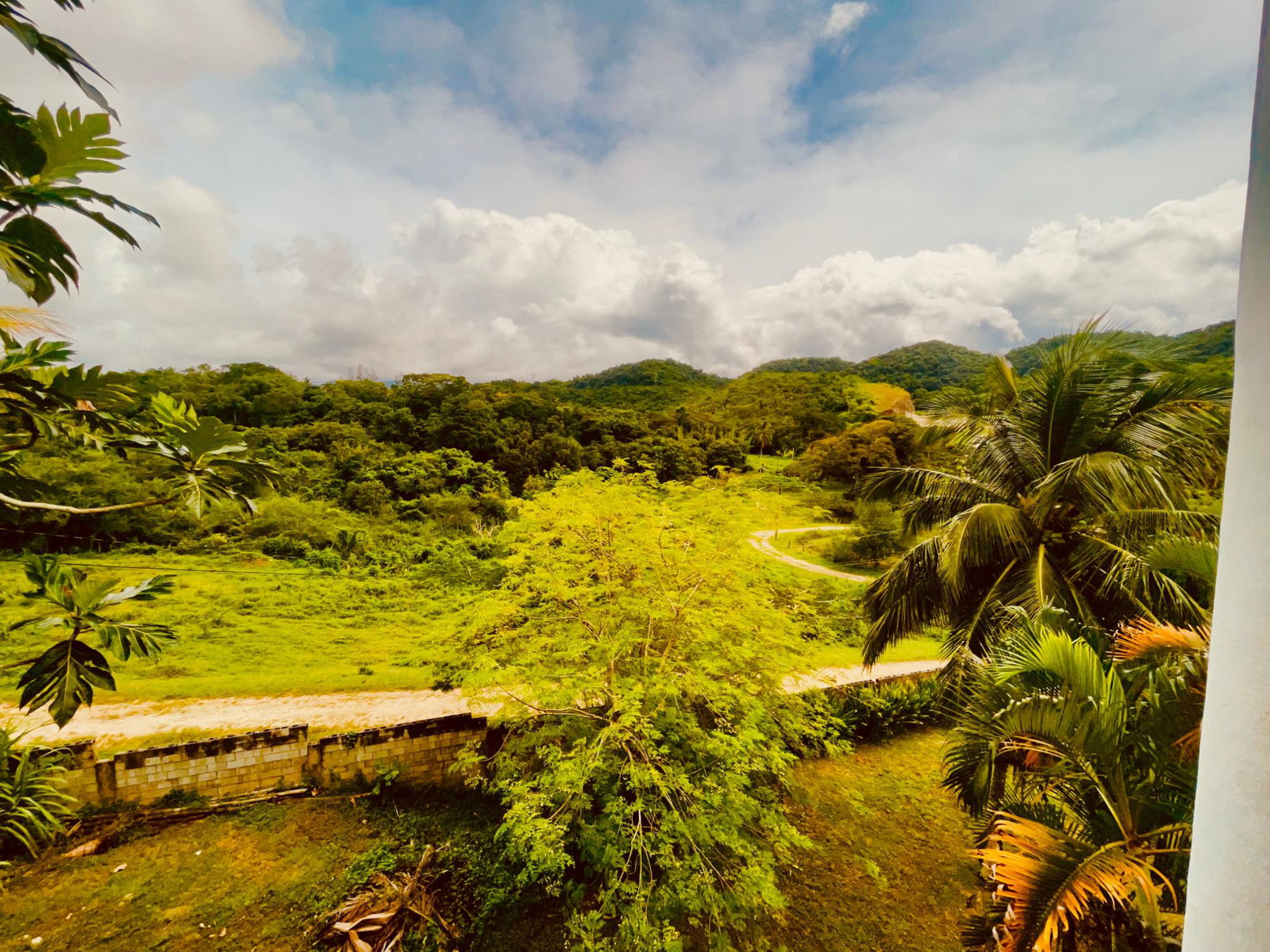 Twenty-Ninth image of Lot 1-childermas Lethe in Anchovy, St. James, Jamaica - property is For Sale