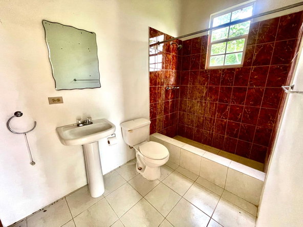 Ninth image of Lot 1-childermas Lethe in Anchovy, St. James, Jamaica - property is For Sale