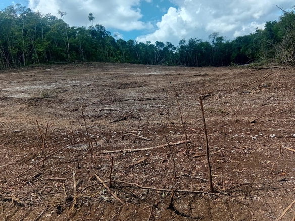 First image of Luana, Black River P.o., in Black River, St. Elizabeth, Jamaica - property is For Sale