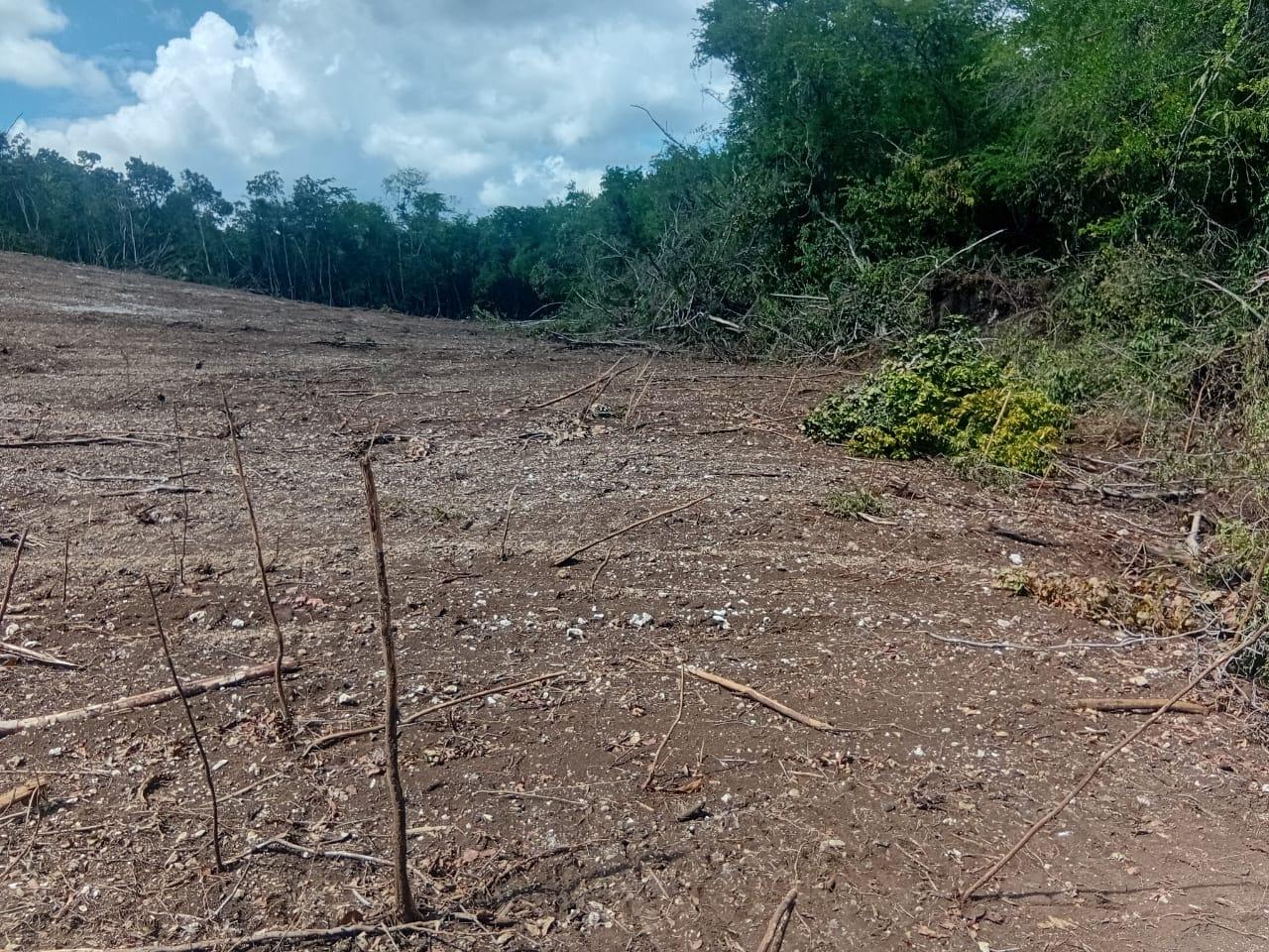 Second image of Luana, Black River P.o., in Black River, St. Elizabeth, Jamaica - property is For Sale
