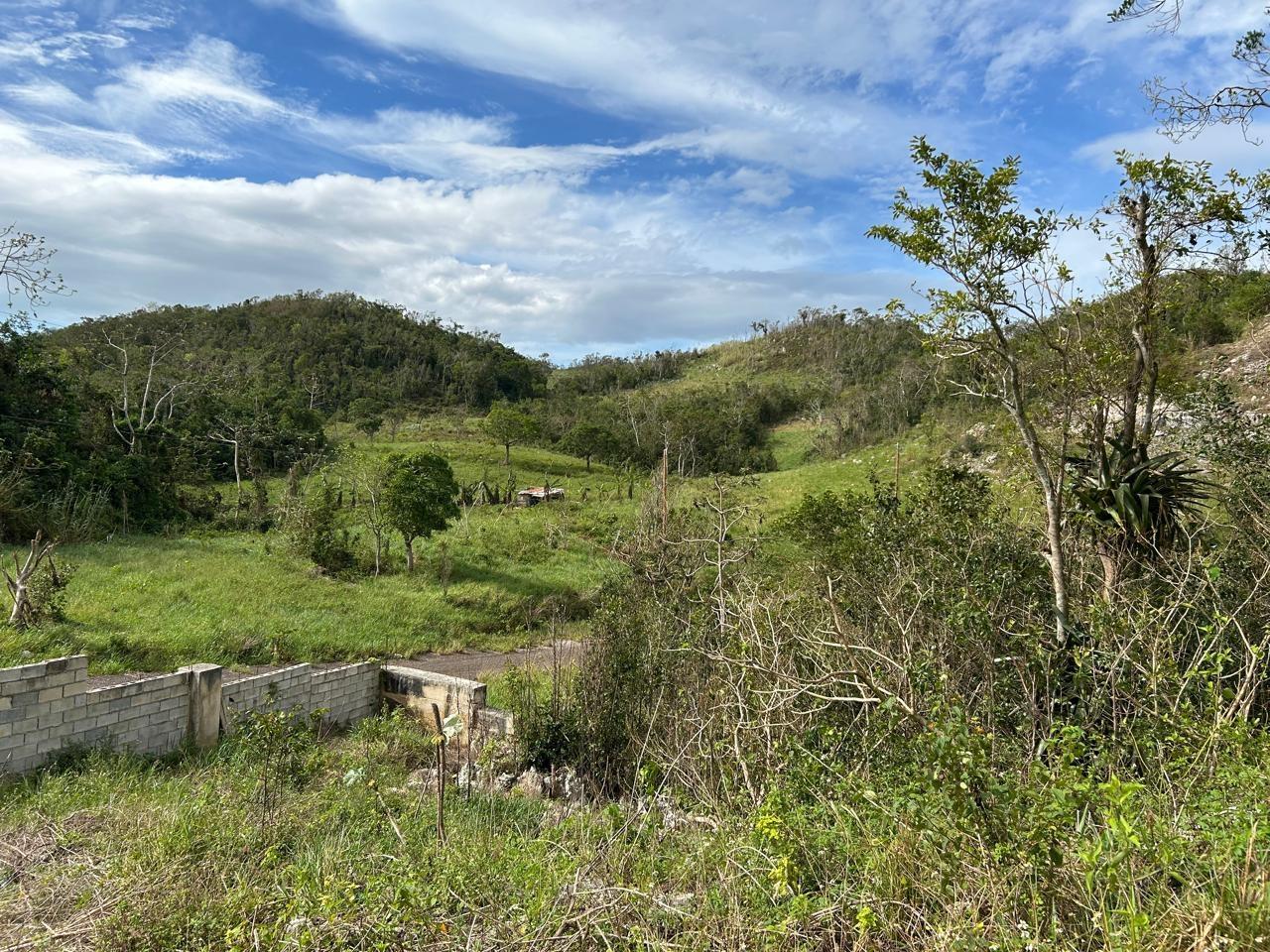 Fourth image of 6 Mason Run in Hatfield, Manchester, Jamaica - property is For Sale