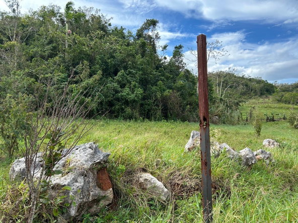 Seventh image of 6 Mason Run in Hatfield, Manchester, Jamaica - property is For Sale