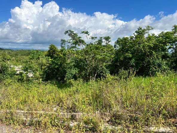 Seventh image of 33 Enfield Meadows, Manches in Lancaster, Manchester, Jamaica - property is For Sale