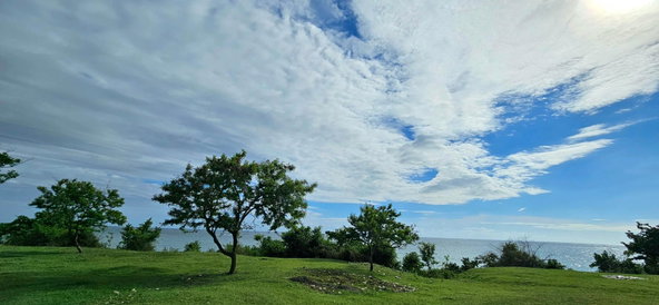 Twenty-Second image of 86 Sapphire Drive, Retreat in Morant Bay, St. Thomas, Jamaica - property is For Sale