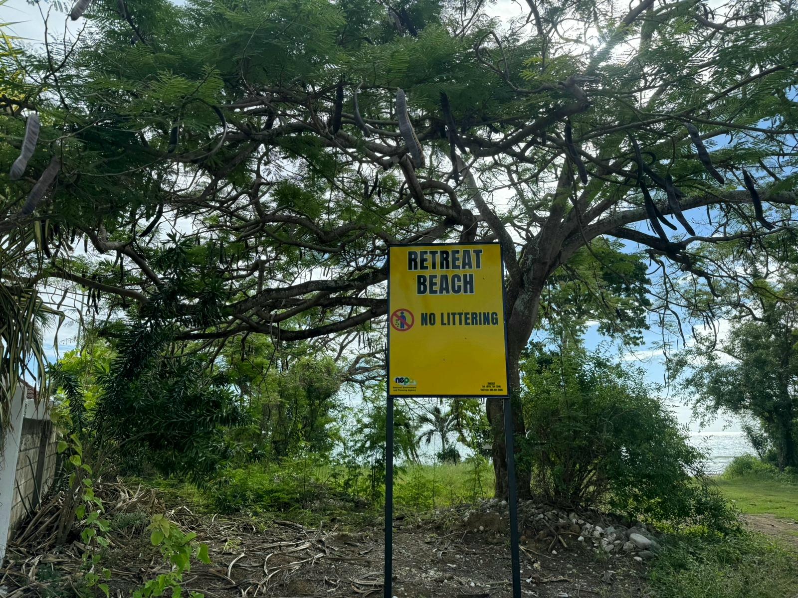 Twenty-Third image of 86 Sapphire Drive, Retreat in Morant Bay, St. Thomas, Jamaica - property is For Sale