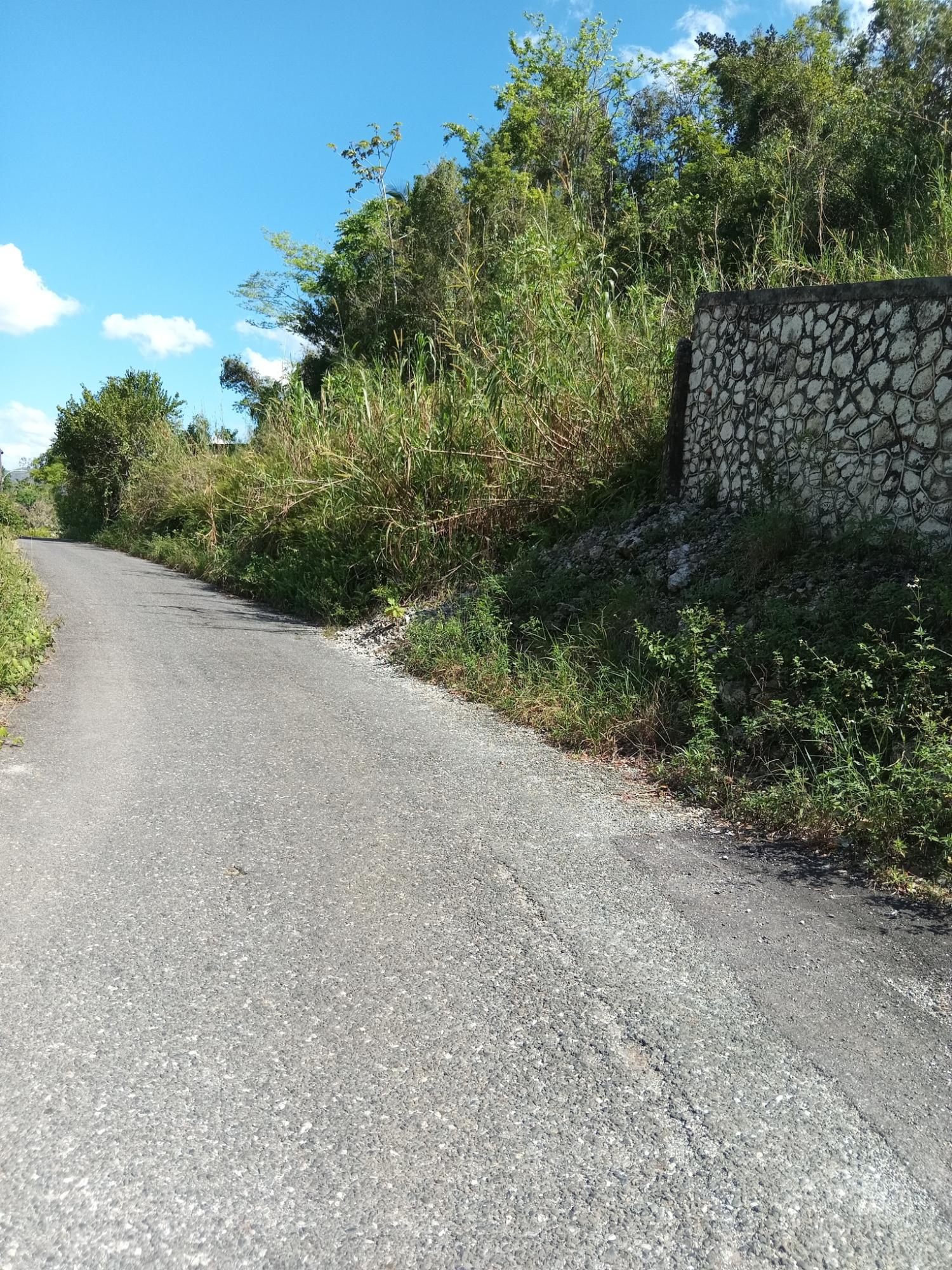 First image of Endeavour in MILE GULLY, Manchester, Jamaica - property is For Sale