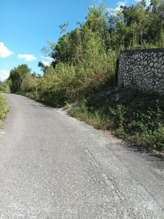 First image of Endeavour in MILE GULLY, Manchester, Jamaica - property is For Sale