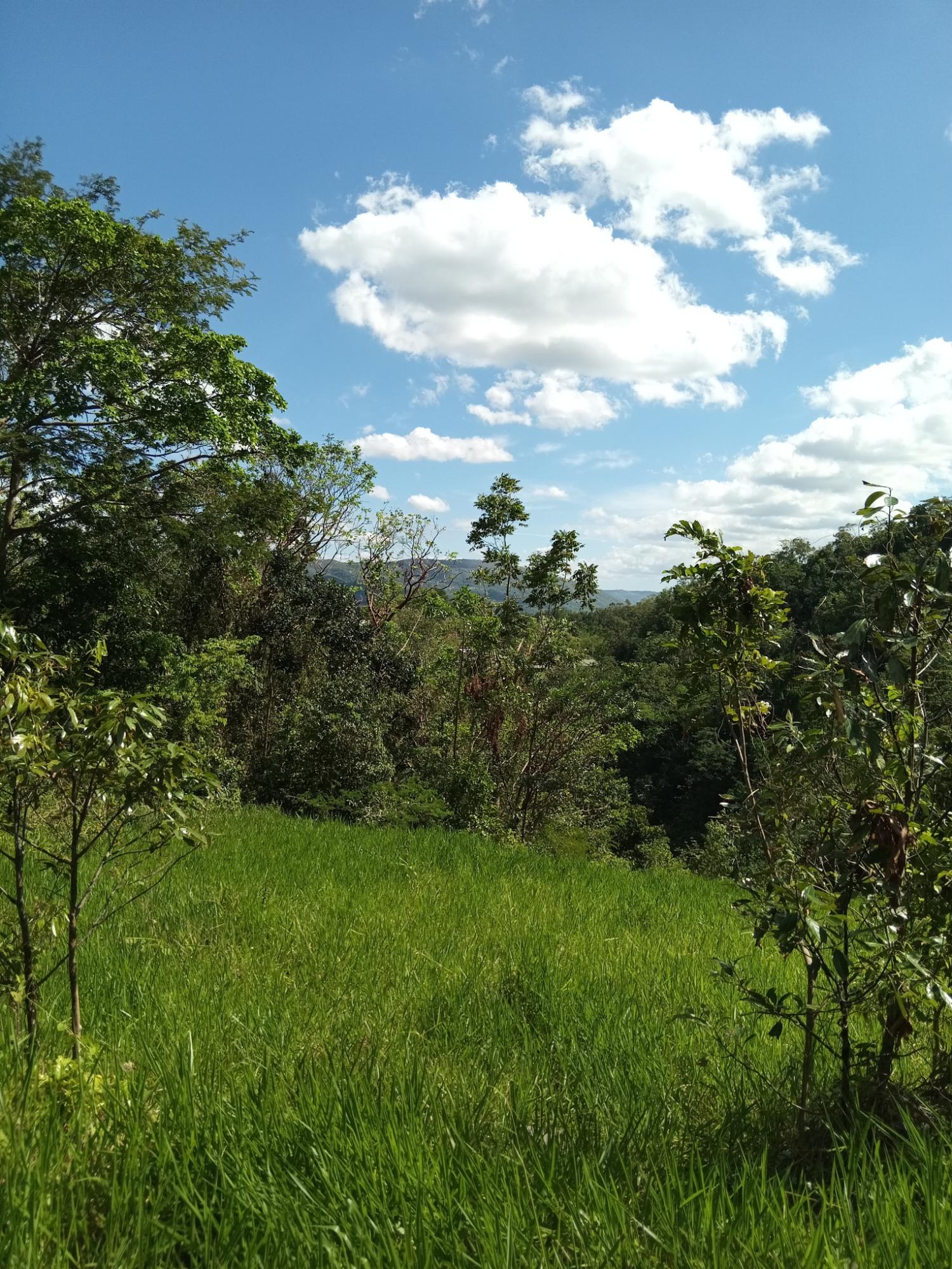 Fifth image of Endeavour in MILE GULLY, Manchester, Jamaica - property is For Sale