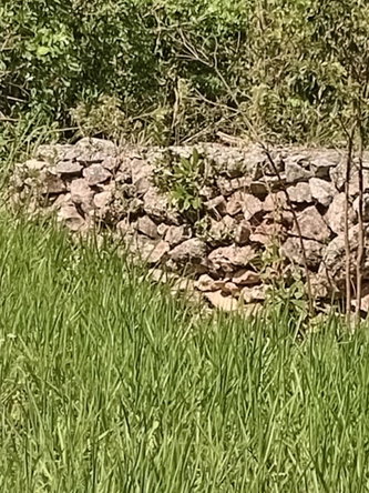 Seventh image of Endeavour in MILE GULLY, Manchester, Jamaica - property is For Sale