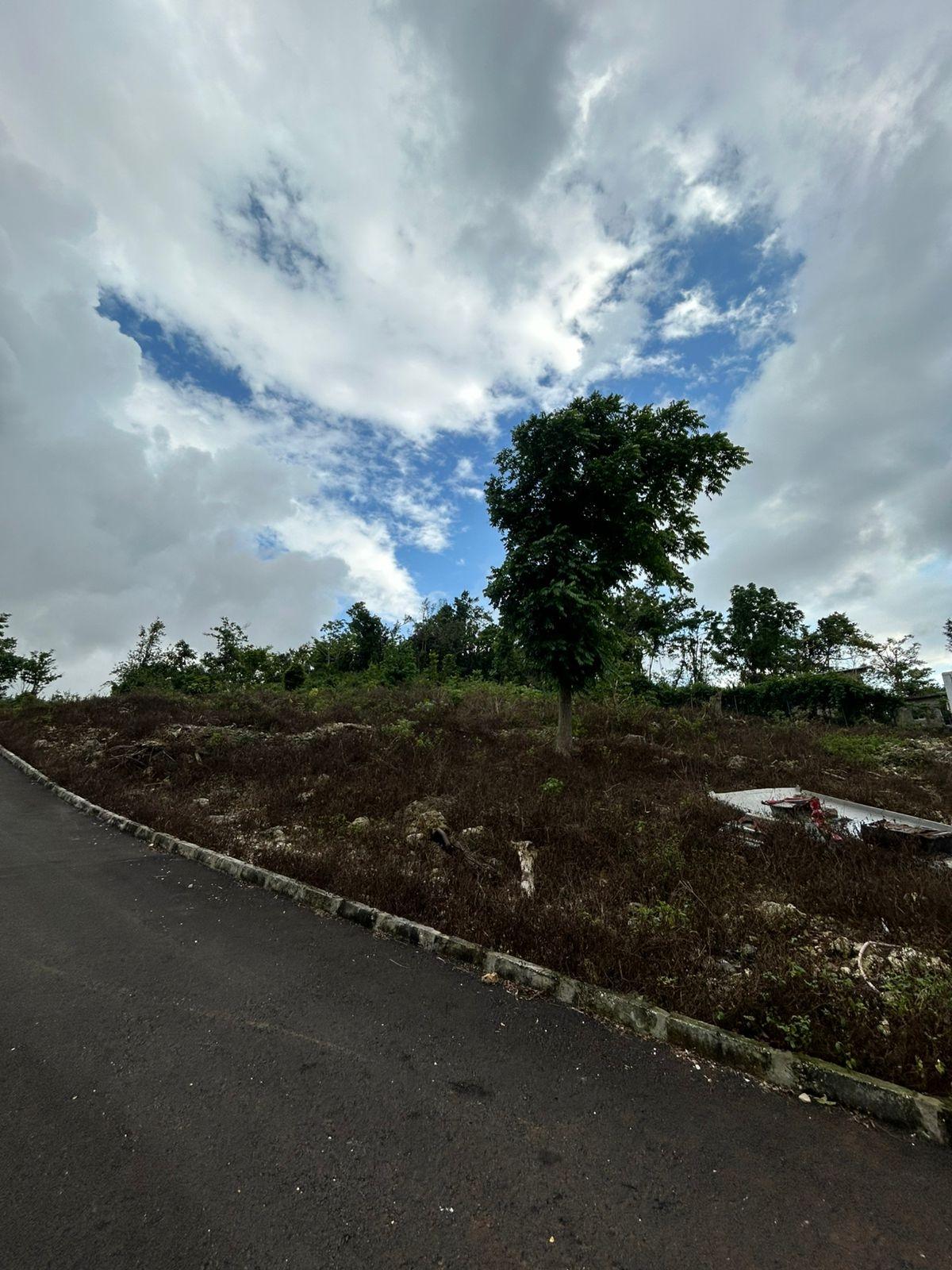 First image of Part of Kingsland in Mandeville, Manchester, Jamaica - property is For Sale