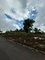 First image of Part of Kingsland in Mandeville, Manchester, Jamaica - property is For Sale