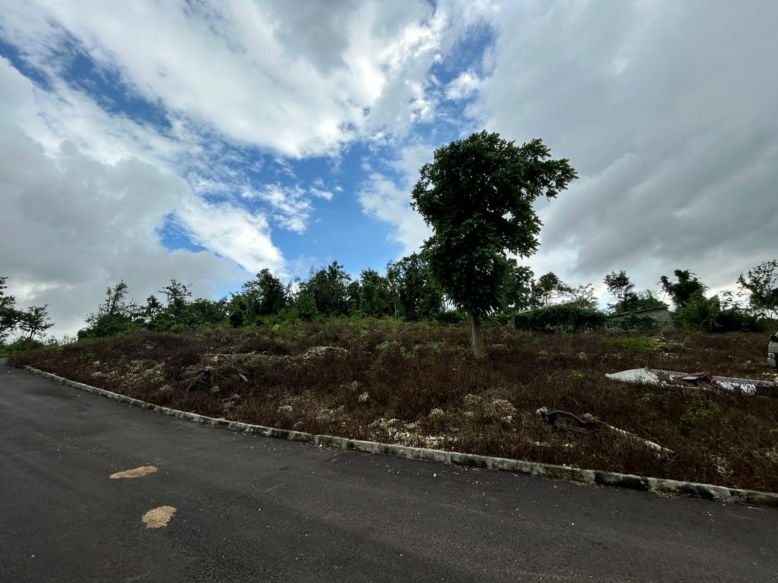 Second image of Part of Kingsland in Mandeville, Manchester, Jamaica - property is For Sale