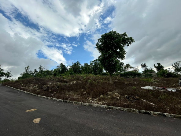 Second image of Part of Kingsland in Mandeville, Manchester, Jamaica - property is For Sale
