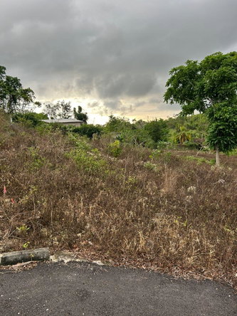 Third image of Part of Kingsland in Mandeville, Manchester, Jamaica - property is For Sale