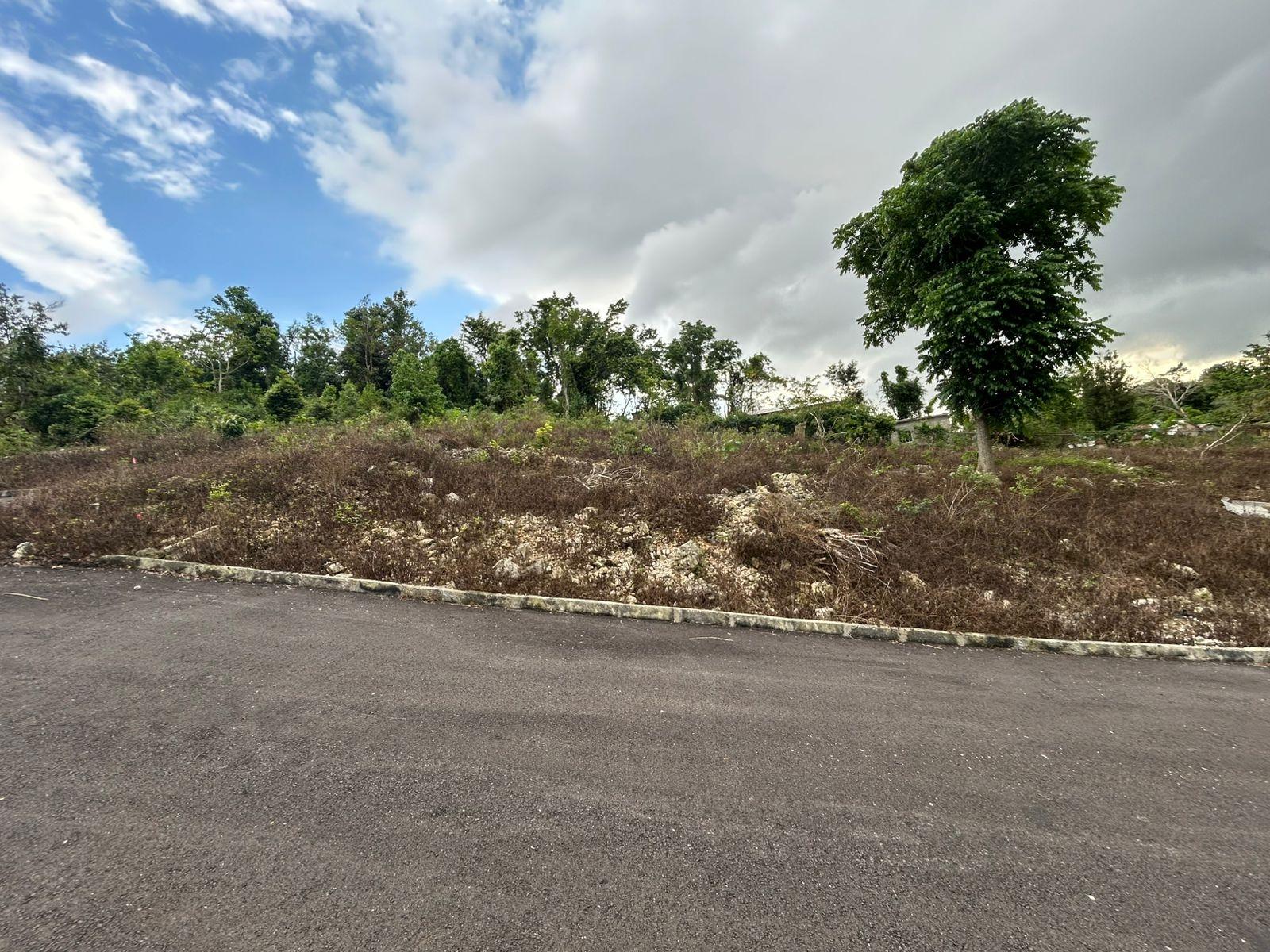 Fourth image of Part of Kingsland in Mandeville, Manchester, Jamaica - property is For Sale