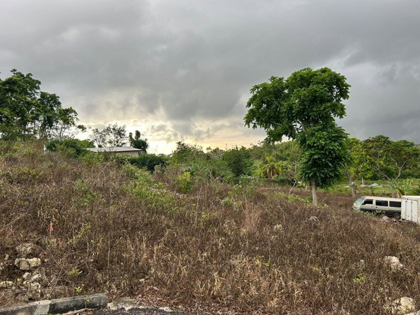 Fifth image of Part of Kingsland in Mandeville, Manchester, Jamaica - property is For Sale
