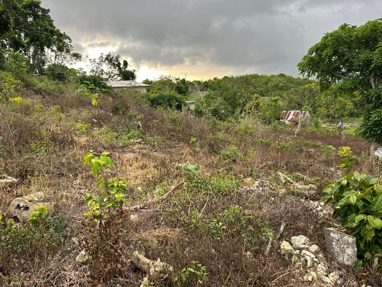 Sixth image of Part of Kingsland in Mandeville, Manchester, Jamaica - property is For Sale
