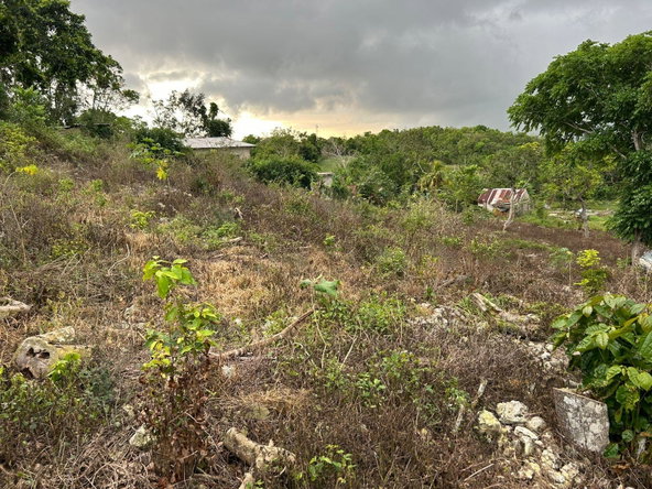 Sixth image of Part of Kingsland in Mandeville, Manchester, Jamaica - property is For Sale