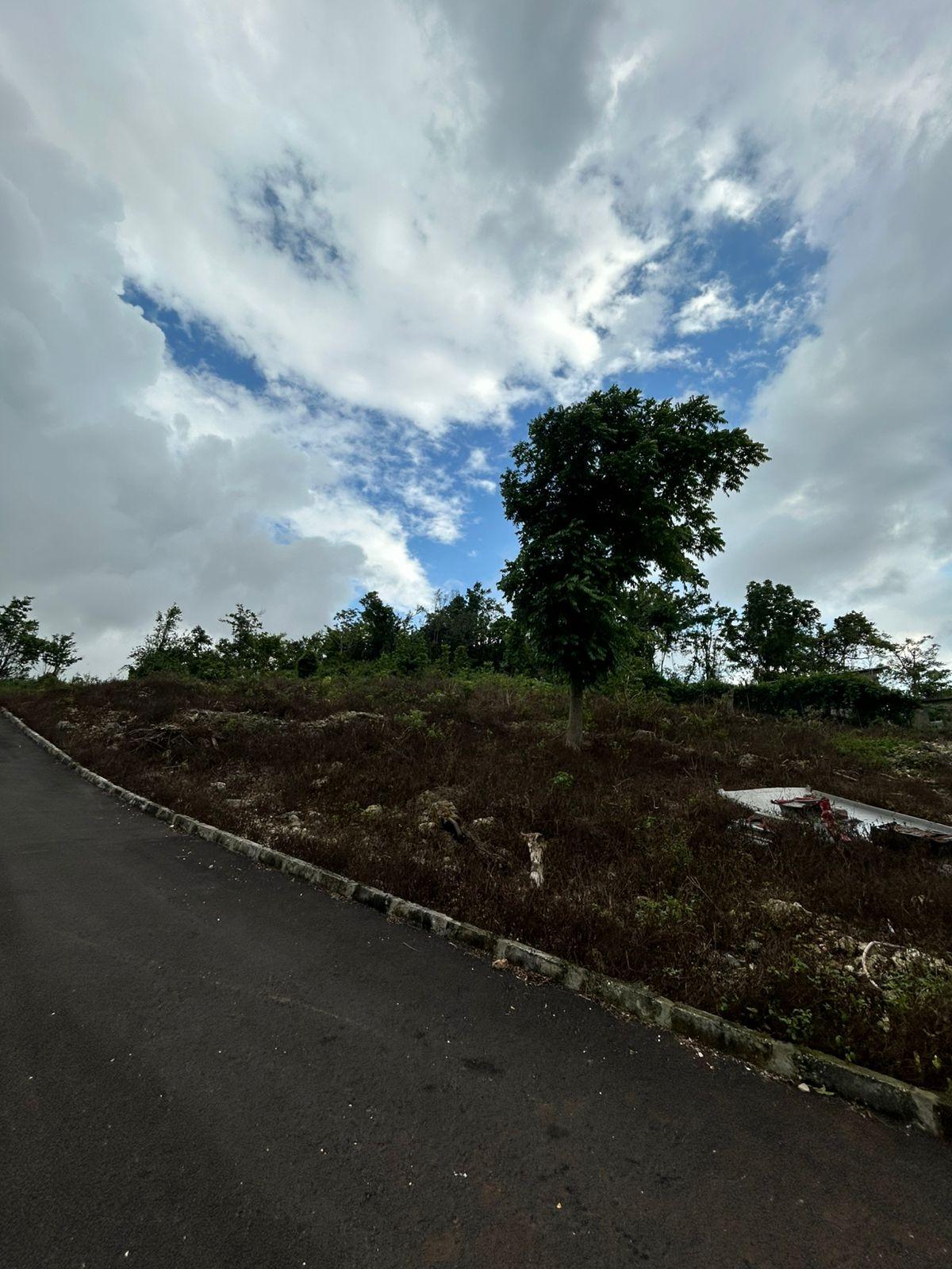 Seventh image of Part of Kingsland in Mandeville, Manchester, Jamaica - property is For Sale