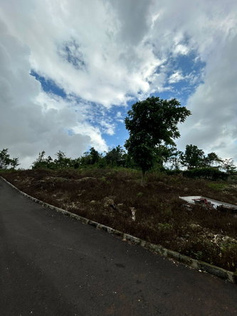 Seventh image of Part of Kingsland in Mandeville, Manchester, Jamaica - property is For Sale