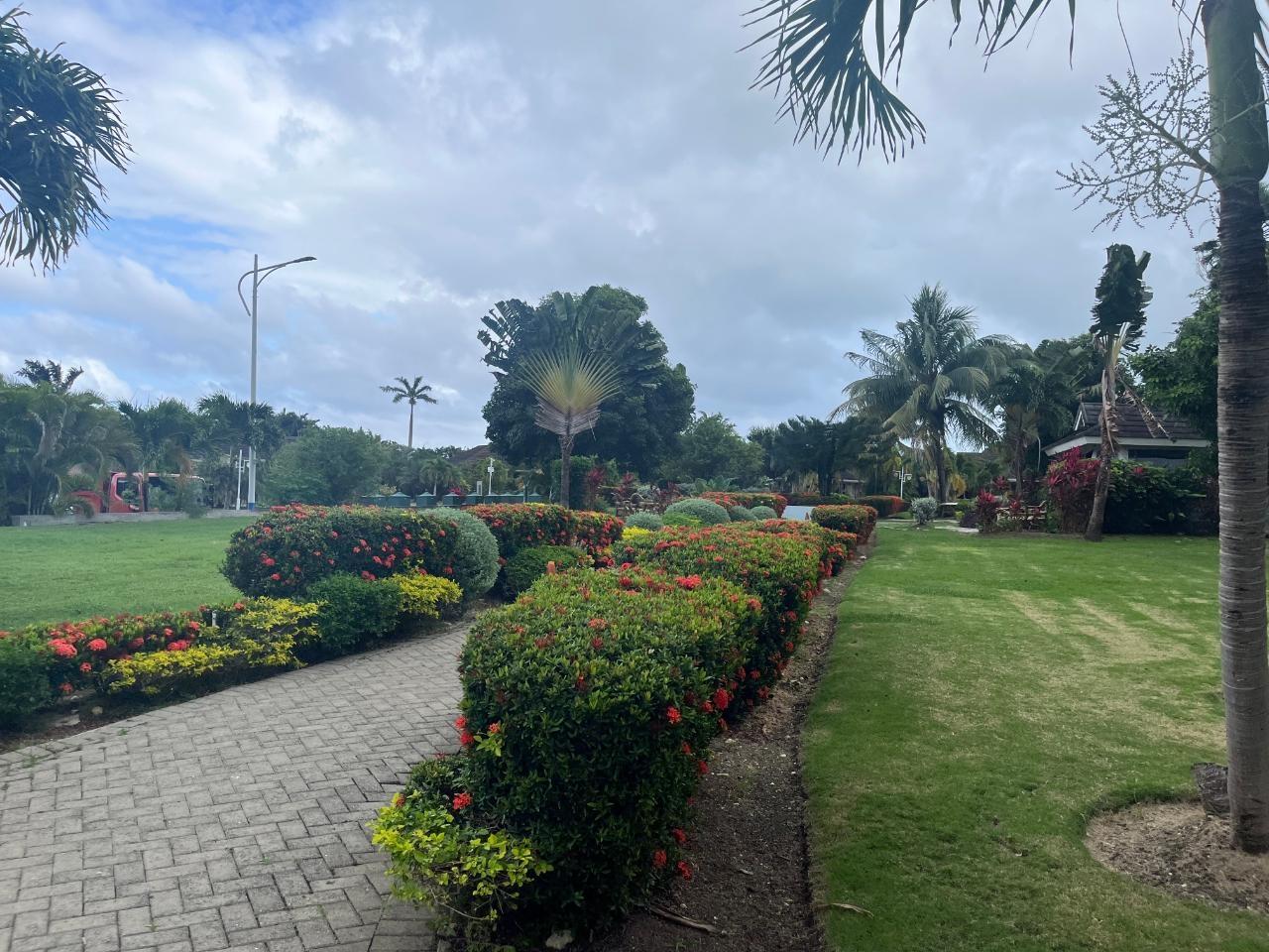 Fifteenth image of 234 Anthurium Avenue in Richmond, St. Ann, Jamaica - property is For Sale