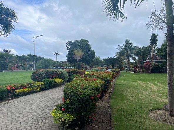 Fifteenth image of 234 Anthurium Avenue in Richmond, St. Ann, Jamaica - property is For Sale
