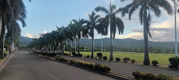 Twentieth image of 234 Anthurium Avenue in Richmond, St. Ann, Jamaica - property is For Sale