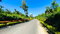 First image of Tower Isle in Tower Isle, St. Mary, Jamaica - property is For Sale