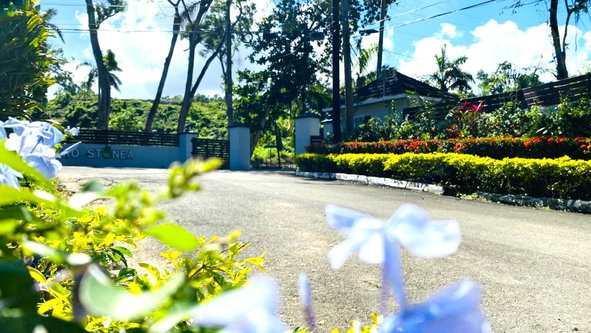 Ninth image of Tower Isle in Tower Isle, St. Mary, Jamaica - property is For Sale