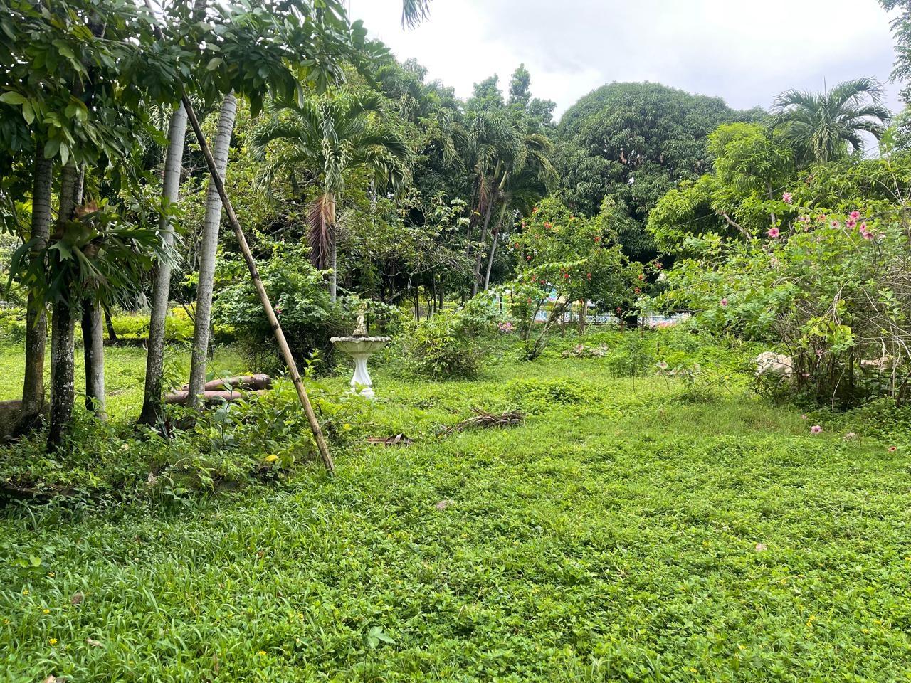Tenth image of Lot 1 Hart Hill Main Road in Buff Bay, Portland, Jamaica - property is For Sale