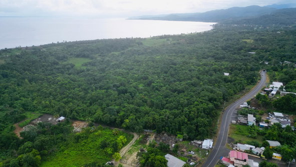 Eleventh image of Lot 1 Hart Hill Main Road in Buff Bay, Portland, Jamaica - property is For Sale