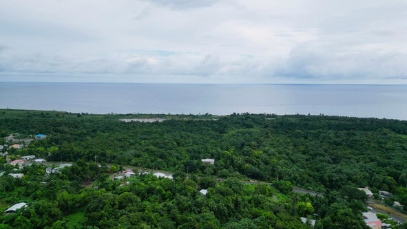 Eighth image of Lot 1 Hart Hill Main Road in Buff Bay, Portland, Jamaica - property is For Sale