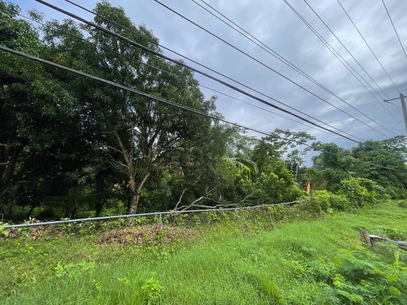 Ninth image of Lot 1 Hart Hill Main Road in Buff Bay, Portland, Jamaica - property is For Sale
