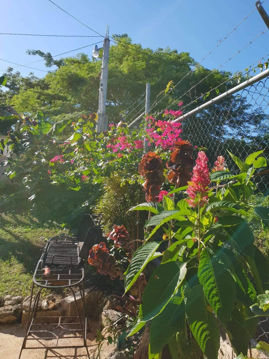 Twenty-Sixth image of Whitehall Negril, Westmor in Negril, Westmoreland, Jamaica - property is For Sale