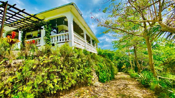 First image of Hampton Dist |plum Tree in Hopeton, St. James, Jamaica - property is For Sale