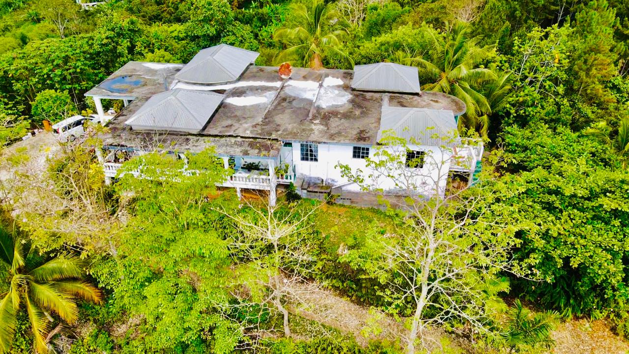 Twelfth image of Hampton Dist |plum Tree in Hopeton, St. James, Jamaica - property is For Sale