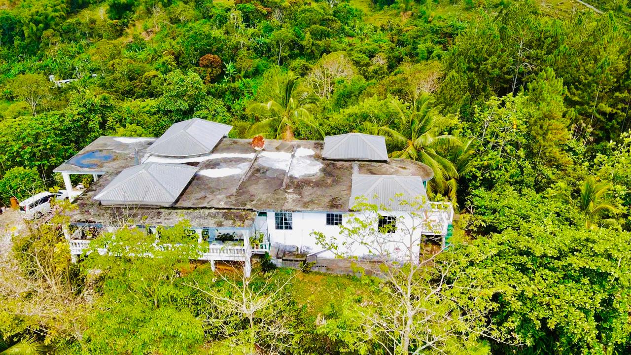 Thirteenth image of Hampton Dist |plum Tree in Hopeton, St. James, Jamaica - property is For Sale