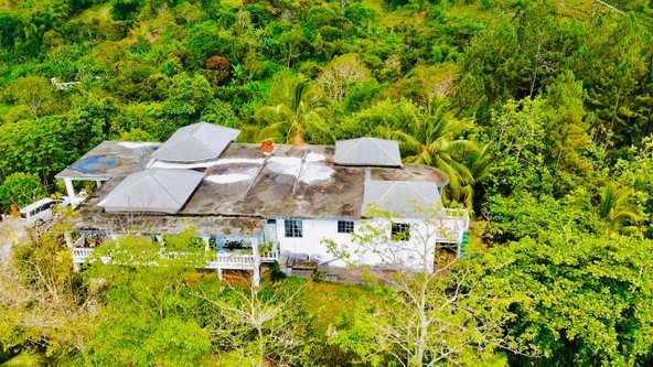 Thirteenth image of Hampton Dist |plum Tree in Hopeton, St. James, Jamaica - property is For Sale