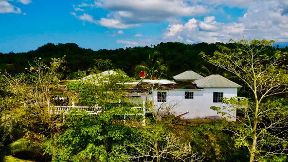 Fourteenth image of Hampton Dist |plum Tree in Hopeton, St. James, Jamaica - property is For Sale