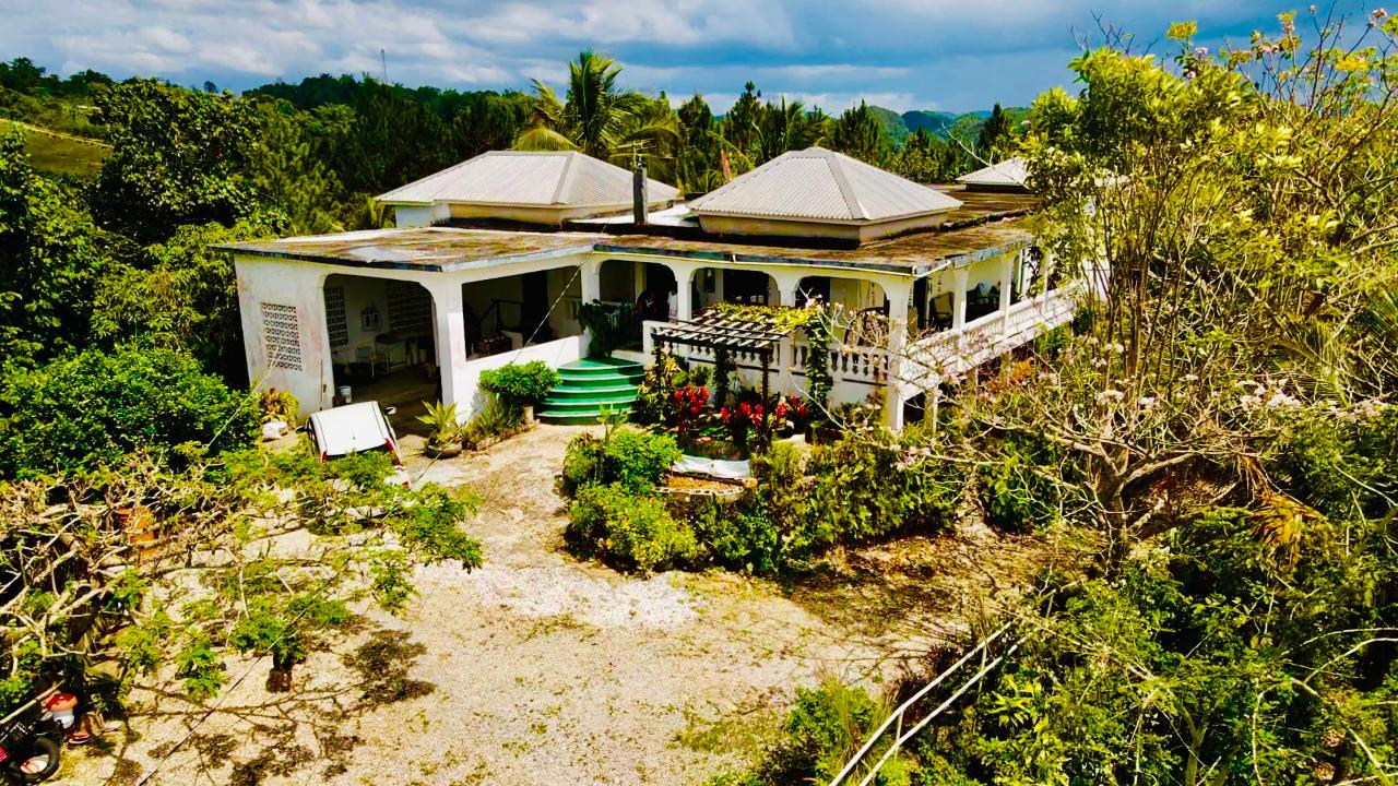 Second image of Hampton Dist |plum Tree in Hopeton, St. James, Jamaica - property is For Sale