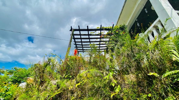 Third image of Hampton Dist |plum Tree in Hopeton, St. James, Jamaica - property is For Sale