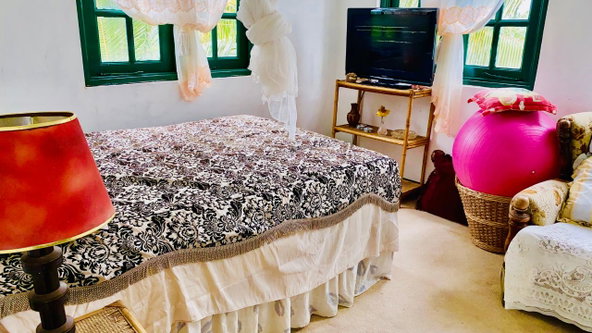 Thirtieth image of Hampton Dist |plum Tree in Hopeton, St. James, Jamaica - property is For Sale