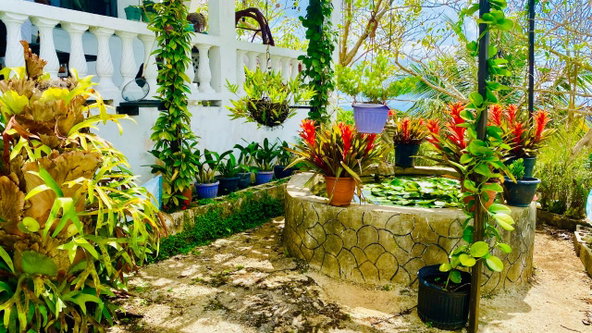 Fourth image of Hampton Dist |plum Tree in Hopeton, St. James, Jamaica - property is For Sale